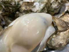 -蚝哥花姐湛江烤生蚝(美丽湾市场店)