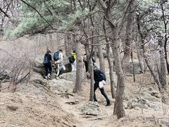 -北京鹫峰国家森林公园