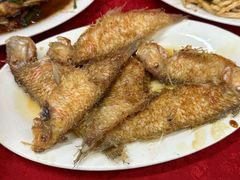 -蛇口康乐快餐鱼仔档(翠苑小区店)