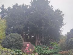 -乌山风景区