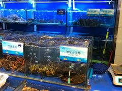 -海鲨湾海鲜会馆(百家湖1912店)
