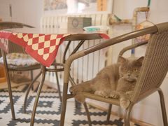 -Rabbit Cafe私房西餐甜点咖啡(栖霞路店)