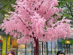 -东莞松山湖万象汇