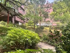 -香港大学