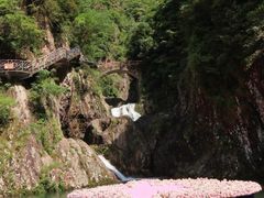 -龙湾潭国家森林公园