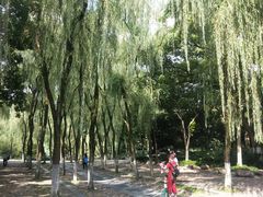 -柳浪闻莺公园