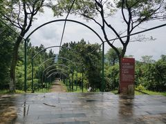 -江南天池
