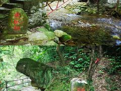 -羚羊峡古栈道森林公园