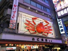 -蟹道乐(道顿堀本店)