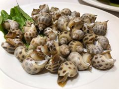 白灼花螺-高佳庄·舟山海鲜(海景旗舰店)