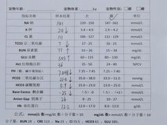 -宠颐生贝利健动物医院(谢家湾分院)