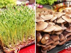 -谭鸭血老火锅(漳州路店)