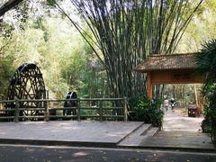 -大屏嶂森林公园