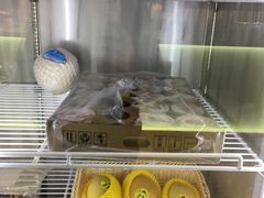 -茶大椰·椰子茶(星悦荟店)