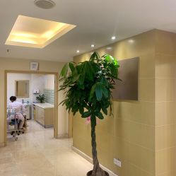 点击看大图 -南京康美美容医院·旗舰店