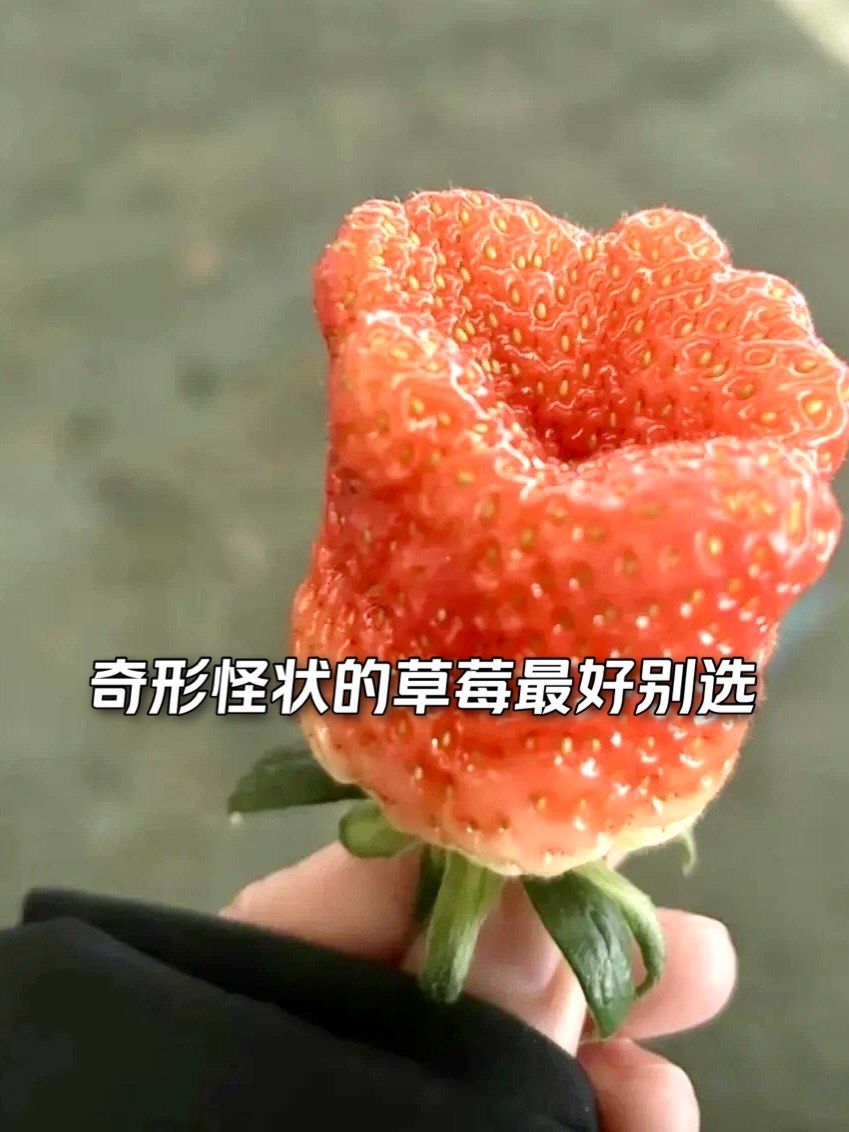 奇形怪状的草莓最好别选