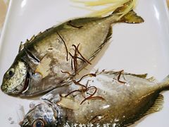 泥猛鱼-海大大蒸汽海鲜餐厅·粤菜·特色小炒(欢乐颂店)