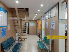 -米苏动物医院·犬猫专科·骨科外科内窥镜