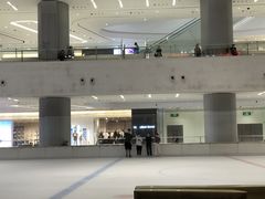 -TheRink大零溜冰场(IFS国金中心店)