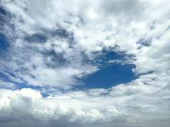 -长虫山生态公园风景林