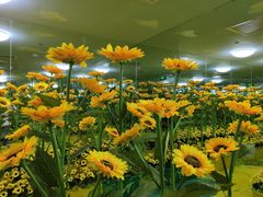 -天津梵高星空艺术馆(天河城旗舰店)