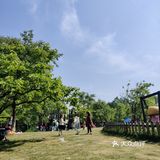 里头其实很大，走的话其实要花很多时间走也不一定能走完