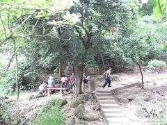 -火炉山森林公园
