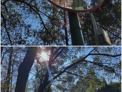 -咸宁万豪温泉谷度假区