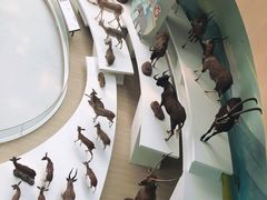 -陕西自然博物馆