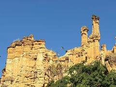 -元谋土林景区(物茂土林)