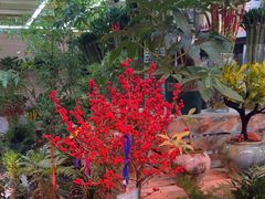 -长春青怡坊鲜花批发(青怡坊花鸟市场店)