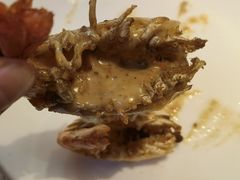 -张家卫·阳江菜·小海鲜(肥婆湾桥店)