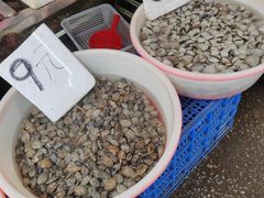 -清远三鸟海鲜农贸市场