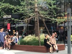 -赵小姐丨新中餐(曲江店)