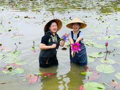 -上海长兴岛郊野公园