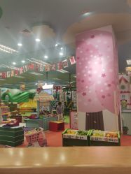 -莫莉幻想儿童乐园(武汉经开永旺店)