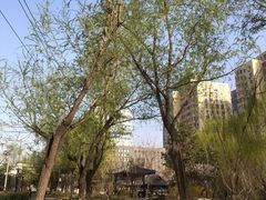 -南长河公园