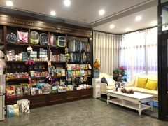 -宠爱国际动物医院· 猫科· 外科·中兽医(长白店)