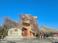 -大槐树寻根祭祖园