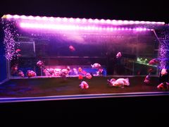 -三旗百汇商品城