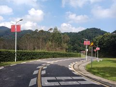 -黄埔油麻山森林公园