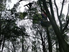 -WeLope紫金山探险公园
