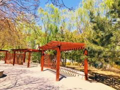 -大兴滨河森林公园