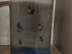 -正佳自然科学博物馆