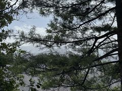 -陕西省红河谷森林公园