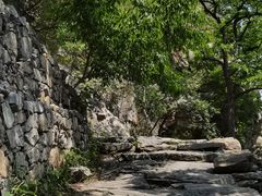 -北京鹫峰国家森林公园