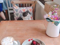 -海边的猫和咖啡馆