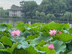 -北山街历史文化街区