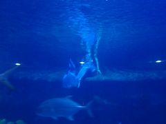 -水上乐园·欢乐世界