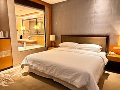 -绿城千岛湖喜来登度假酒店